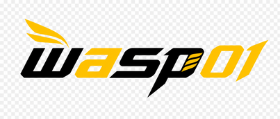 wasp01